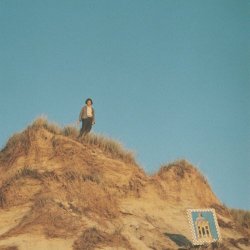 Thin Walls - Still Life (2023)