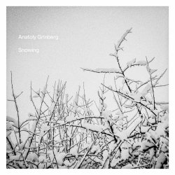 Anatoly Grinberg - Snowing (2025)