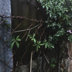 Rhazula - She Isn't Real (2025) [EP]