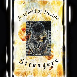 Vindicating Twilight - A World Of Hostile Strangers (2025)