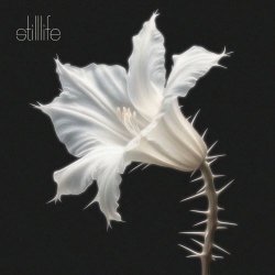 Kariti - Still Life (2025)