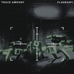 Trace Amount - Flagrant (2025) [EP]