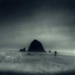 Drowse - Wane Into It (2022)