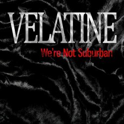 Velatine - We're Not Suburban (2025) [Single]
