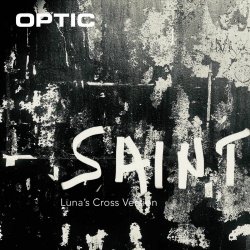Optic - Saint (Luna's Cross Version) (2025) [Single]