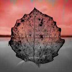Apoptose - Zwischen Zeit Und Dunkelheit (2025) [EP]