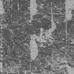 Balduvian Bears - Regret (2025) [Single]