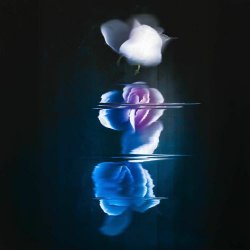 H.Ä.L.T. - Forever Dead (Graveyard Gossip Remix) (2025) [Single]