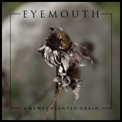 Eyemouth - A Newly Planted Grain (2017)
