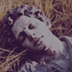 Doma Vse - Солнечные Зайчики (2024) [Single]