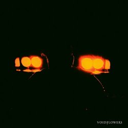 Voidflowers - Endless Cosmic Night (2025) [Single]