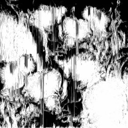 Binary Order - Black's Nightmare (2025)