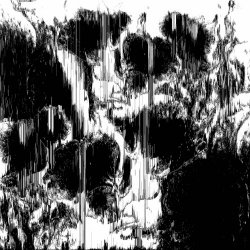 Binary Order - White's Dream (2025)