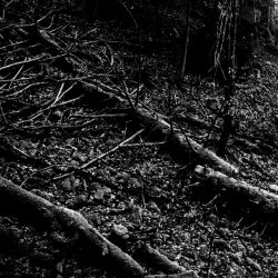 Blakmoth - Bourdon I (2023)
