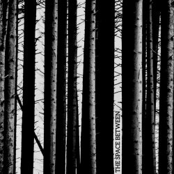 Blakmoth - The Space Between (2021)