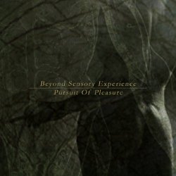Beyond Sensory Experience - Pursuit Of Pleasure (2005)
