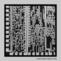 Beyond Sensory Experience - Ratan (2003)