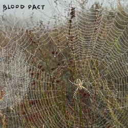 blood pact - Keep (2025) [Single]