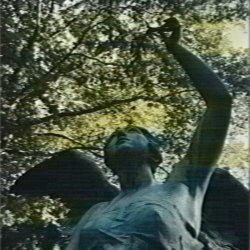 The Violent Youth - Tsvety (2025) [Single]