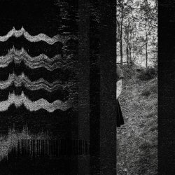 Varg In Prison - Lilt Of Pine (2025) [EP]