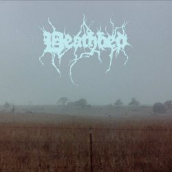 Coatie Pop - Deathbed (2022)