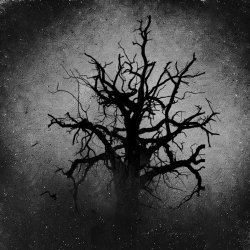 Darker Places - Winters Fall (2025) [Single]