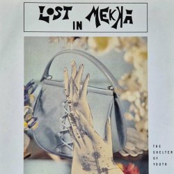 Lost In Mekka - The Shelter Of Youth (2025)