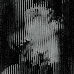 Sex Virgin Killer - Devil (2023)