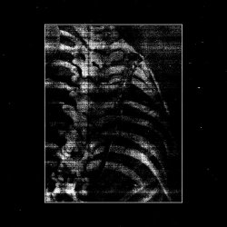 Spire Circle - Falling Short (2025) [Single]