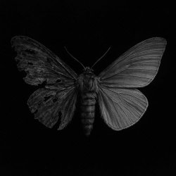 NCRMNCR - Horrores (2025) [Single]