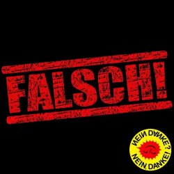Nein Danke - Falsch (2025) [Single]
