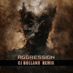 Rogue Unit & Darkvolt - Aggression (CJ Bolland Remix) (2025) [Single]
