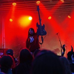 Venin Carmin - Living Depression (Live) (2025) [EP]