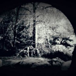 Bela Goosy - Life Is A Fairy Tale (2020)