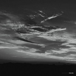 Suicidewave - Feeling (2025) [Reissue]