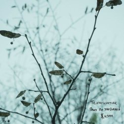 Техногенетика - Плач По Уходящей Жизни (2025) [Single]