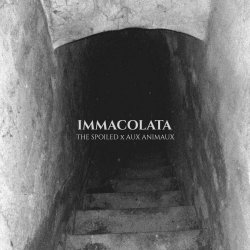 The Spoiled - Immacolata (2026) [Single]