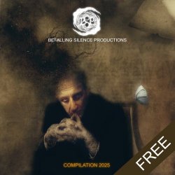 VA - BSP 2025 Compilation (2025)