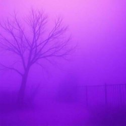 Choline - Unspool (2026)