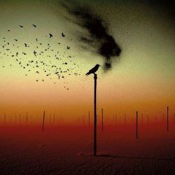 Canaan - For A Bird That Never Flew (2026)
