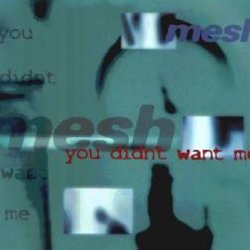 Mesh - You Didn't Want Me (1997) [EP]