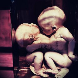 Maenad & The Ravers - Cold Sweat And Aborted Dreams: A Collection Of Wayward Songs (2024)