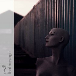 J Wølf - Final Message (2024) [Single]