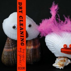 Dry Cleaning - Bug Eggs/Tony Speaks! (2021) [Single]