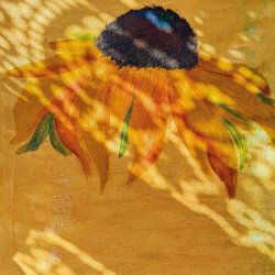Deary - I Still Think About You / No Ordinary Love (2025) [Single]
