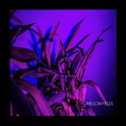 Mellow Fields - False Positive (2020)