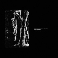 Fraunhofer Diffraction - Todesopfer (2015)