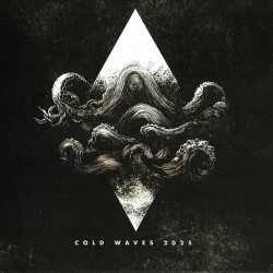 VA - Cold Waves 2025 (2025)