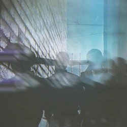 The Night Blooms - Eternally Only (2026) [EP]