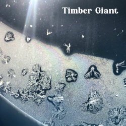 Timber Giant - Timber Giant (2025) [EP]